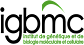 IGBMC